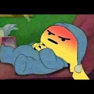 Meet your Posher, Bebe